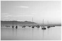 Yachts in calm Morro Bay harbor, sunset. Morro Bay, USA ( black and white)