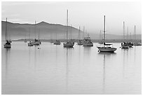 Yachts reflected in calm  Morro Bay harbor, sunset. Morro Bay, USA ( black and white)