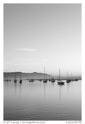 Yachts reflected in Morro Bay harbor, sunset. Morro Bay, USA (black and white)