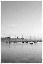Yachts reflected in Morro Bay harbor, sunset. Morro Bay, USA ( black and white)