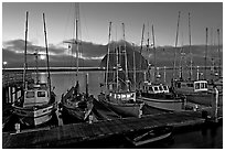 Fishing boats at dusk. Morro Bay, USA ( black and white)