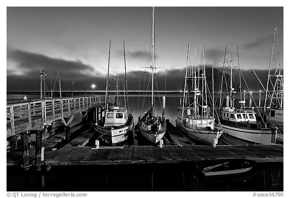 Harbor at dusk. Morro Bay, USA (black and white)