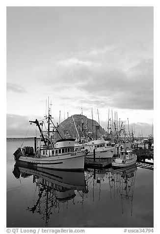 Fishing fleet and Morro Rock, sunrise. Morro Bay, USA