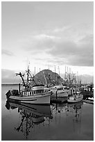 Fishing fleet and Morro Rock, sunrise. Morro Bay, USA ( black and white)