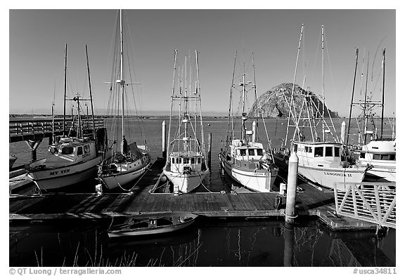 Harbor and Morro Rock, morning. Morro Bay, USA