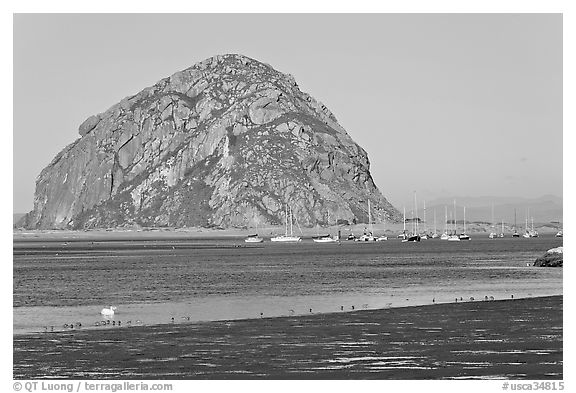 Yachts and Morro Rock. Morro Bay, USA (black and white)