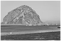 Yachts and Morro Rock. Morro Bay, USA (black and white)