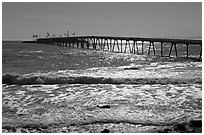 Pier and Rincon island. California, USA ( black and white)