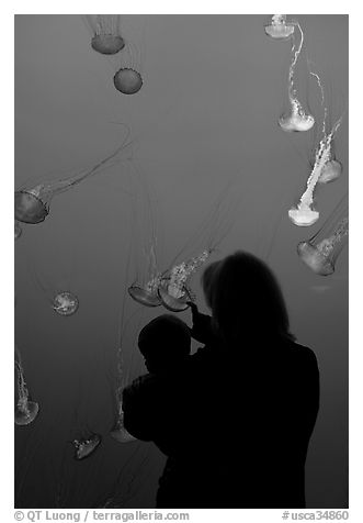 Woman holding child in front of jellyfish, Monterey Bay Aquarium. Monterey, California, USA (black and white)