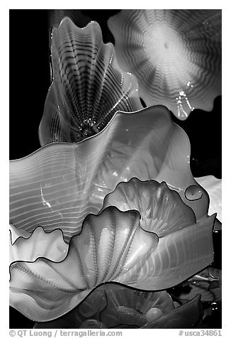 Glass artwork inspired by jellies, Monterey Bay Aquarium. Monterey, California, USA (black and white)