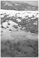 Green hills partly covered with snow, Mount Hamilton Range. San Jose, California, USA (black and white)