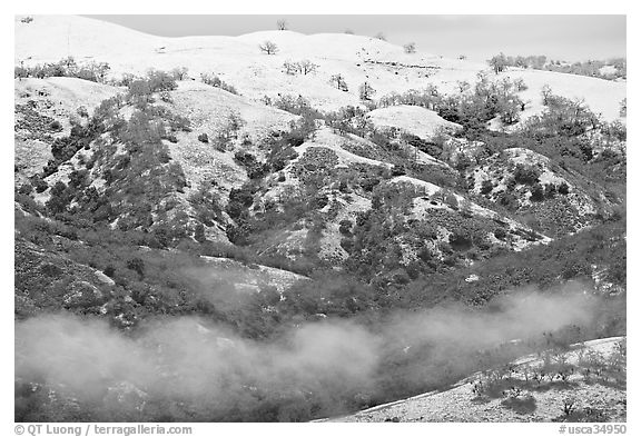 Snow and fog on Mount Hamilton Range. San Jose, California, USA