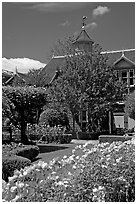 Backyard gardens. Winchester Mystery House, San Jose, California, USA ( black and white)