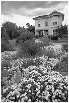 Emma Prush Farmhouse. San Jose, California, USA ( black and white)