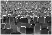 Headstones, Colma. California, USA (black and white)