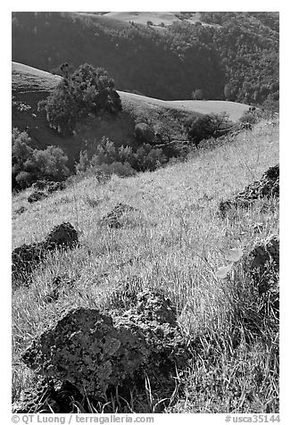 Rocks, poppies, and hillsides, Sunol Regional Park. California, USA