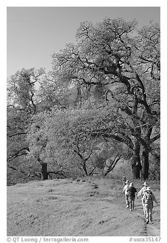 Group of hikers on faint trail, Sunol Regional Park. California, USA