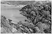 Calaveras Reservoir in spring. California, USA ( black and white)