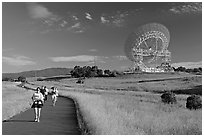 People running in the Stanford Dish area. Stanford University, California, USA ( black and white)
