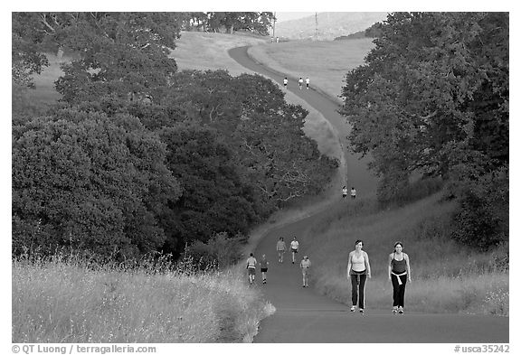Women walking on trail, Stanford academic preserve. Stanford University, California, USA (black and white)