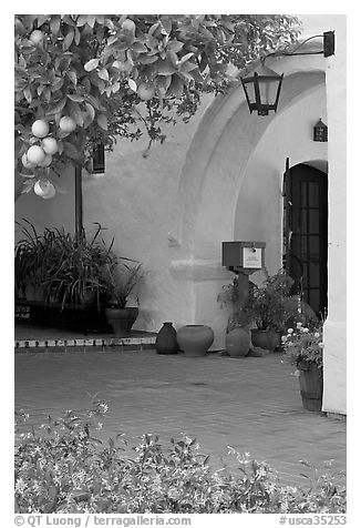 Orange tree and arch, Allied Arts Guild. Menlo Park,  California, USA (black and white)
