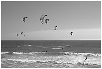 Group of kitesurfers, Waddell Creek Beach. California, USA (black and white)