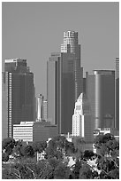 City Hall and high rise buildings. Los Angeles, California, USA (black and white)