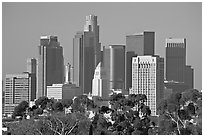 Skyline with city hall. Los Angeles, California, USA ( black and white)