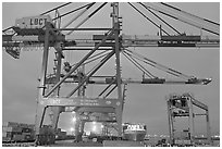 Cranes, Port of Los Angeles, sunset. Long Beach, Los Angeles, California, USA ( black and white)
