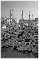 Yachts and marina at sunrise. Marina Del Rey, Los Angeles, California, USA (black and white)