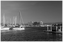 Yachts, marina, and hills, early morning. Marina Del Rey, Los Angeles, California, USA ( black and white)