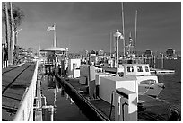 Harbor. Marina Del Rey, Los Angeles, California, USA ( black and white)