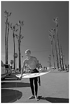 Surfer and palm trees. Venice, Los Angeles, California, USA ( black and white)