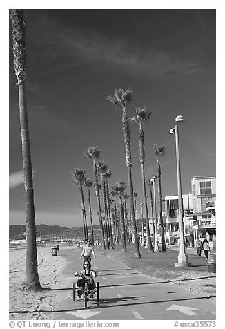 Woman riding a tricycle on the beach promenade. Venice, Los Angeles, California, USA (black and white)