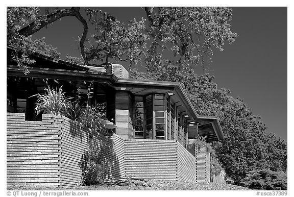 Honeycombed-shape corners, Hanna House. Stanford University, California, USA (black and white)