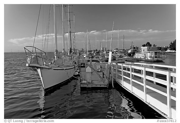 Yachts in Port of Redwood, late afternoon. Redwood City,  California, USA (black and white)