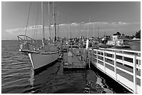 Yachts in Port of Redwood, late afternoon. Redwood City,  California, USA (black and white)