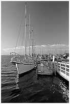 Yacht in Port of Redwood, late afternoon. Redwood City,  California, USA ( black and white)