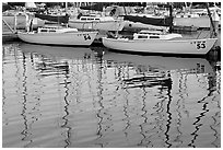 Marina reflections. Redwood City,  California, USA ( black and white)
