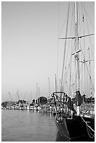 Yachts, sunset. Redwood City,  California, USA (black and white)