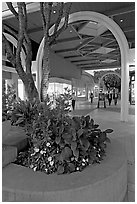 Flowers and arches, Stanford Shopping Mall, dusk. Stanford University, California, USA ( black and white)