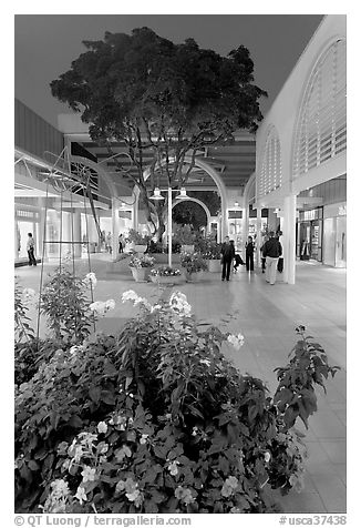 Vegetation and stores in main alley of Stanford Mall at night. Stanford University, California, USA