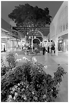 Vegetation and stores in main alley of Stanford Mall at night. Stanford University, California, USA ( black and white)