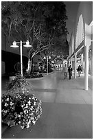 Couple walking by stores and flowers, Stanford Shopping Center. Stanford University, California, USA ( black and white)
