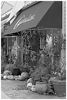 Art gallery decorated with large pumpkins. Half Moon Bay, California, USA (black and white)