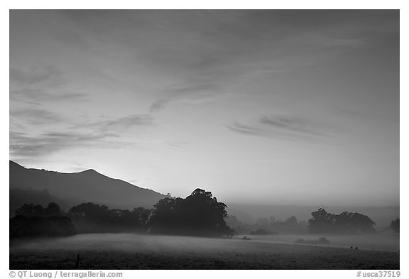 Foggy pasture at sunset near La Honda Road. San Mateo County, California, USA (black and white)