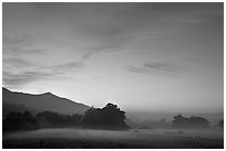 Foggy pasture at sunset near La Honda Road. San Mateo County, California, USA ( black and white)