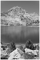 Saddlebag lake, John Muir Wilderness. California, USA ( black and white)