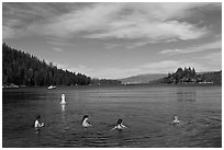 Family in water, Emerald Bay, California. USA (black and white)