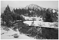 Creek, trees, and mountains with fresh snow. California, USA (black and white)